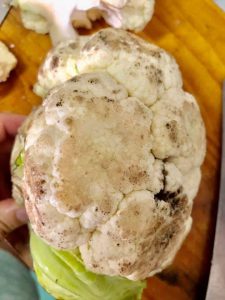 Simpan Sayur Berdaun & Pejal Lebih Tahan Lama, Begini Wanita Ni Buat. Memang Menjadi