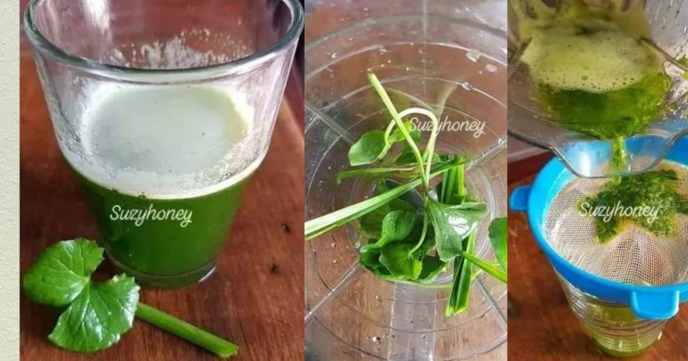 Petua Cuci Usus Elak Sembelit Hanya Buat Jus Pegaga Ajer. Boleh Cuba!
