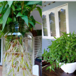 0001-17365208728_20210224_092353_0000