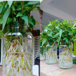 0001-17365391259_20210224_092821_0000