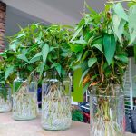 FB_IMG_1614129647332