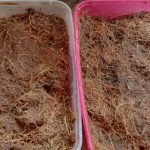 FB-IMG-1613053022962