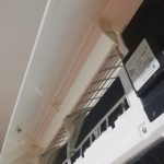 FB_IMG_1616511911494