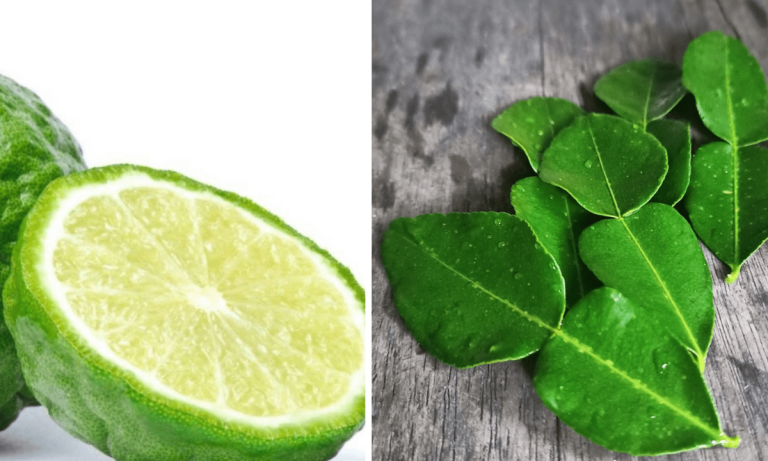 Petua Mandi Air Limau Purut Mujarab Hilangkan Rasa Letih Badan. Nak Amalkannya Mudah & Confirm Puas Hati!