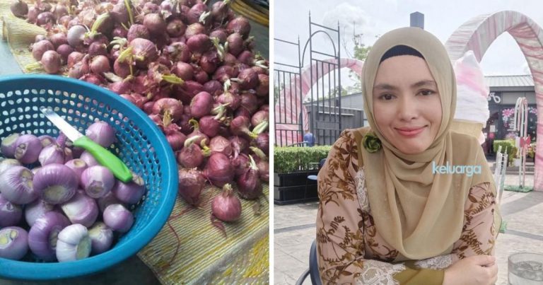 Bawang Bertunas Selamat Di Makan Tapi Tidak Kentang Dan Rebung. Pakar Kimia Jelaskan Sebabnya Elak Keracunan.