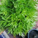 B4239992-DD0B-4338-874D-7BE3C71CFBF9