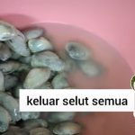 Screenshot_2021-09-18-11-56-19-37_f69139cffc4d135a71392e13634f144a