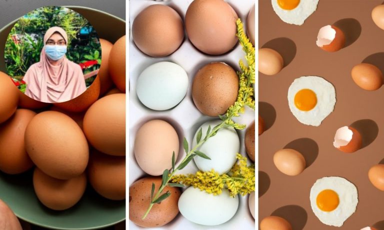 “Beli Telur Kita Perlu Buat Pilihan, Agar Beri Kesan Baik Untuk Kesihatan …” Dr Ni Kongsi Cara Pilih, Sila Take Note!