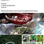 Screenshot_2021-10-29-10-20-55-28_a23b203fd3aafc6dcb84e438dda678b6