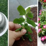 Untitled design – 2021-10-19T212226.762