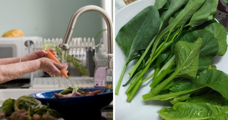 Sayur & Ulam Yang Dimakan Nak Pastikan Betul-betul Bersih, Begini Wanita Ni Kongsi Cara Boleh Buat!