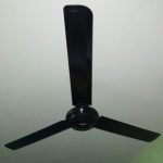 FB_IMG_1641174240161