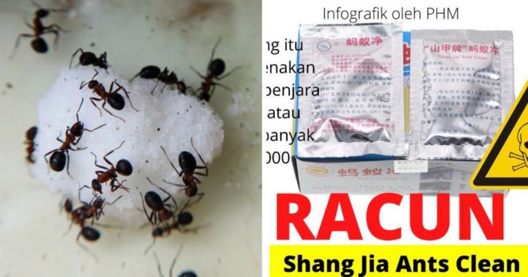 Ingatkan Guna Racun Ni Nak Halau Semut, Tapi Waspada Kesannya Boleh Jadi Penyebab Sawan!