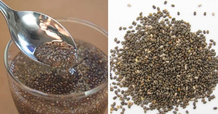 Makan Sikit Tapi Kenyang Lama, Dr Ni Kongsi Khasiat CHIA SEED Rugi Kalau Tak Tahu!