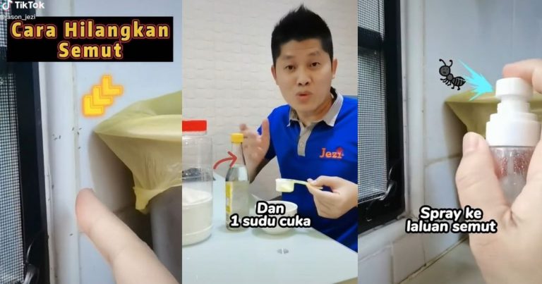 Banyaknya Semut! Campur Dua Bahan Ni, Sembur & Tunggu Hasilnya