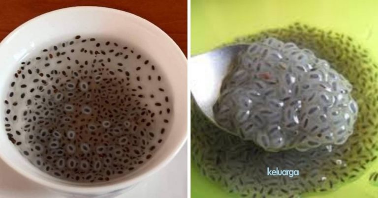 15 Alasan Untuk Berbuka Puasa Dengan Minuman Berisi Biji Selasih.