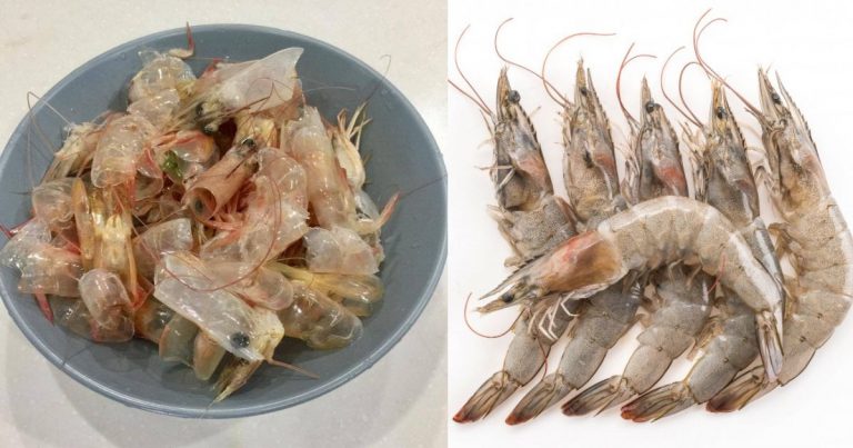 Kupas Udang Mentah, Kulitnya Jangan Dibuang! Dr Ini Kongsi Khasiatnya