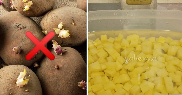 Kentang Bertunas Tak Selamat Dimakan Tapi Nak Elak Membazir Cepat Rendam Dengan Bahan Ni!