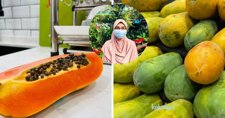 “Ajar Anak Makan Betik Sekali Dengan Biji.” Patutlah Ramai Suka Makan Buah Betik, Rupanya Banyak Khasiat. Doktor Ini Jelaskan Lanjut.