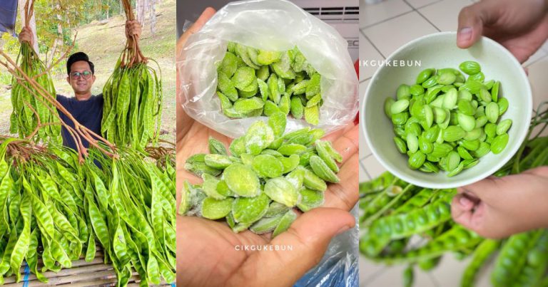 Simpan Berbulan Pun Masih Segar Macam Baru! Ikut Cara Betul Proses Petai Untuk Tahan Lama