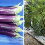 0662EC96-A8C2-4463-A510-441CD2FD16A3