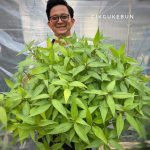 299976431_362454986100953_7133893630960507249_n