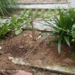 4C3AF9E4-EE17-4B6F-8A5E-FAE7C4A20C29