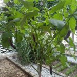 9B5F4EB4-CBED-410F-AD1B-D9166F9EA353