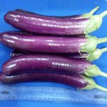 B77C2E06-F704-4406-98DE-9FB112CEB6D0