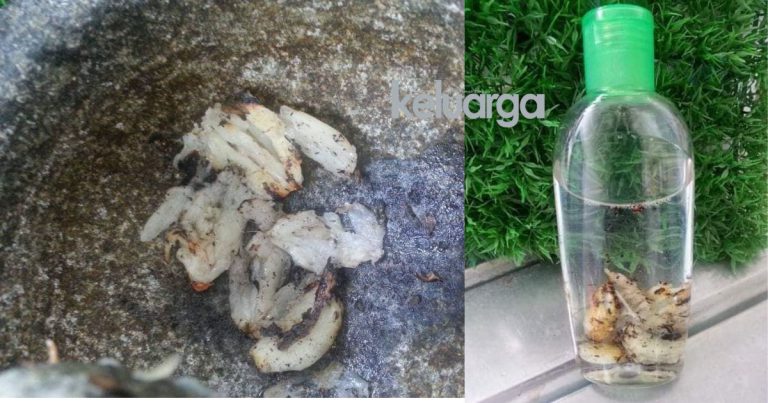 Tangani Batuk Dan Selesema Hanya Dengan Dua Bahan Saja, Ramai Baru Tahu Petua Ni