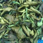 305815639_2949295778697545_1749283086830712735_n