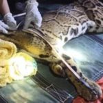 FB_IMG_1669379828397