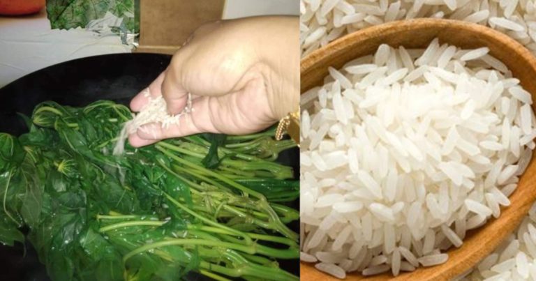 Makan Pucuk Ubi Rebus Tak Berangin Lagi, Begini Ibu Wanita Ni Buat Memang Menjadi!