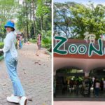 Untitled design (94)