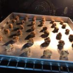 FB_IMG_1675121735130