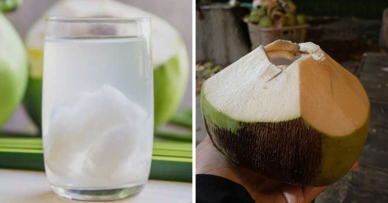 Dalam Seminggu Biasakan Anak-anak Minum Air Kelapa Paling Kurang Sekali Untuk Serap Khasiatnya!