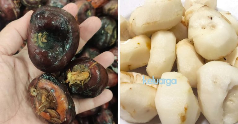 Uncle Cina Kongsi Khasiat Sengkuang Cina, Patutlah Ramai Cari Buah Ni