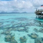 87044454_10220816741233424_5847003571505070080_n