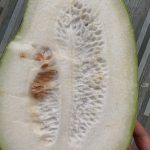 266220697_10159319131062435_248294551304116324_n