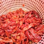 341862574_249947217412701_6153280545339800697_n