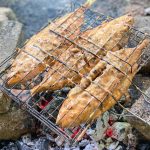 337043287_746243110231268_3809357167784924773_n