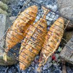 337145912_869205847716947_1603341543188474243_n