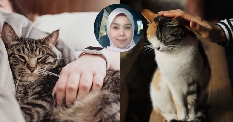 “Miki Tu, Dia Anak Pertama Saya…” -Perkongsian Dr Ni Undang Sebak Buat Pencinta Kucing!