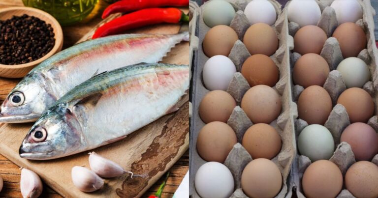 Memori Anak Jadi Power, Pakar Otak Sarankan Ambil 3 Jenis Makanan Ni, Bagus Untuk Otak Anak!