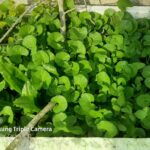 191600391_3041102976014679_3001909917986784402_n