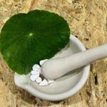 284783440_10159913534682165_6651036741839125326_n