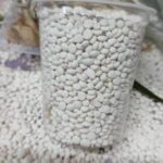 291822249_5343505559048292_1356139596504967021_n