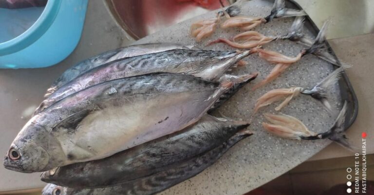 Ikan Tongkol Kalau Penderita Resdung Nak Makan Ada Cara Nak Siang Supaya Tak Gatal