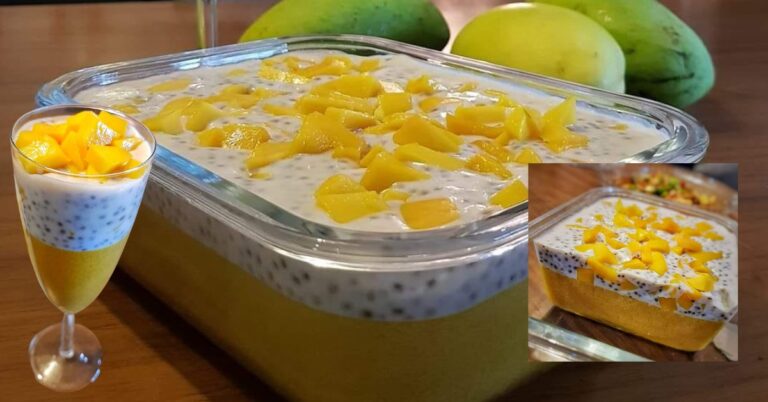 Puding Mangga Susu Bersama Chia Seed, Lemak-lemak Manis Best Makan Sejuk-sejuk