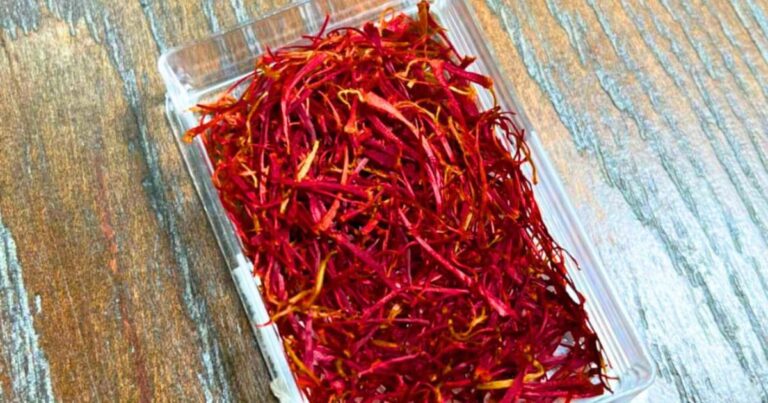 Tinggi Vitamin & Magnesium, Tambah Saffron Dalam Bekal Air Anak, Buat Memori Kuat!
